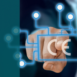 CE-Koordinator vom 23.08.-04.09.2021 in Soest