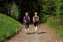 LoSaGa | Nordic-Walking Kurs - Gräfliche Kliniken, 24.08.2026, 13:00-14:00 Uhr