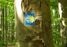 LoSaGa | Pilgern auf dem Jakobsweg - Mechthild Bange, 28.08.2026, 10:00-13:00 Uhr